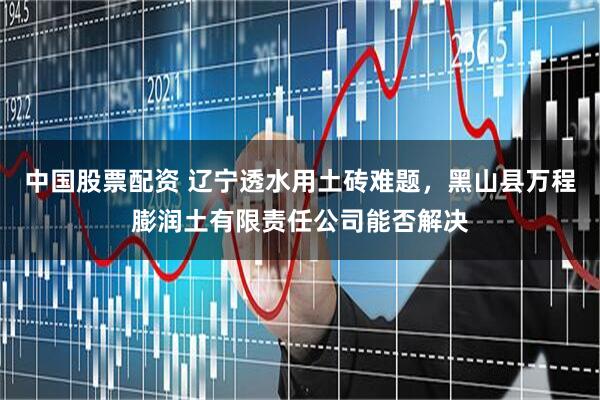中国股票配资 辽宁透水用土砖难题，黑山县万程膨润土有限责任公司能否解决